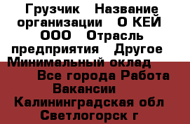 Грузчик › Название организации ­ О’КЕЙ, ООО › Отрасль предприятия ­ Другое › Минимальный оклад ­ 25 533 - Все города Работа » Вакансии   . Калининградская обл.,Светлогорск г.